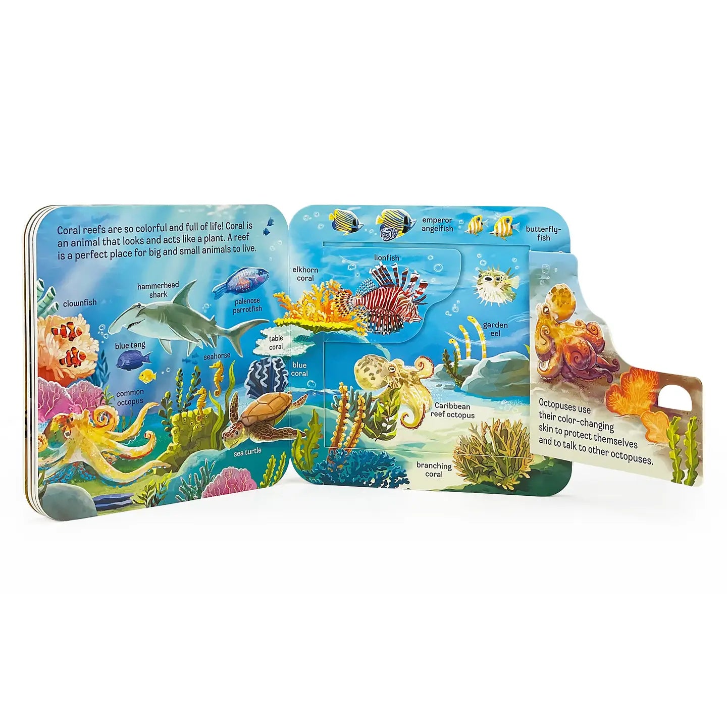 Lift A Flap Book: Ocean