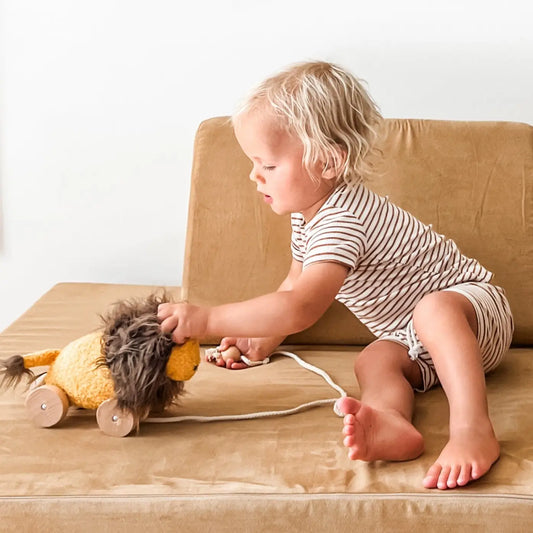Pull Along Toy - Leo