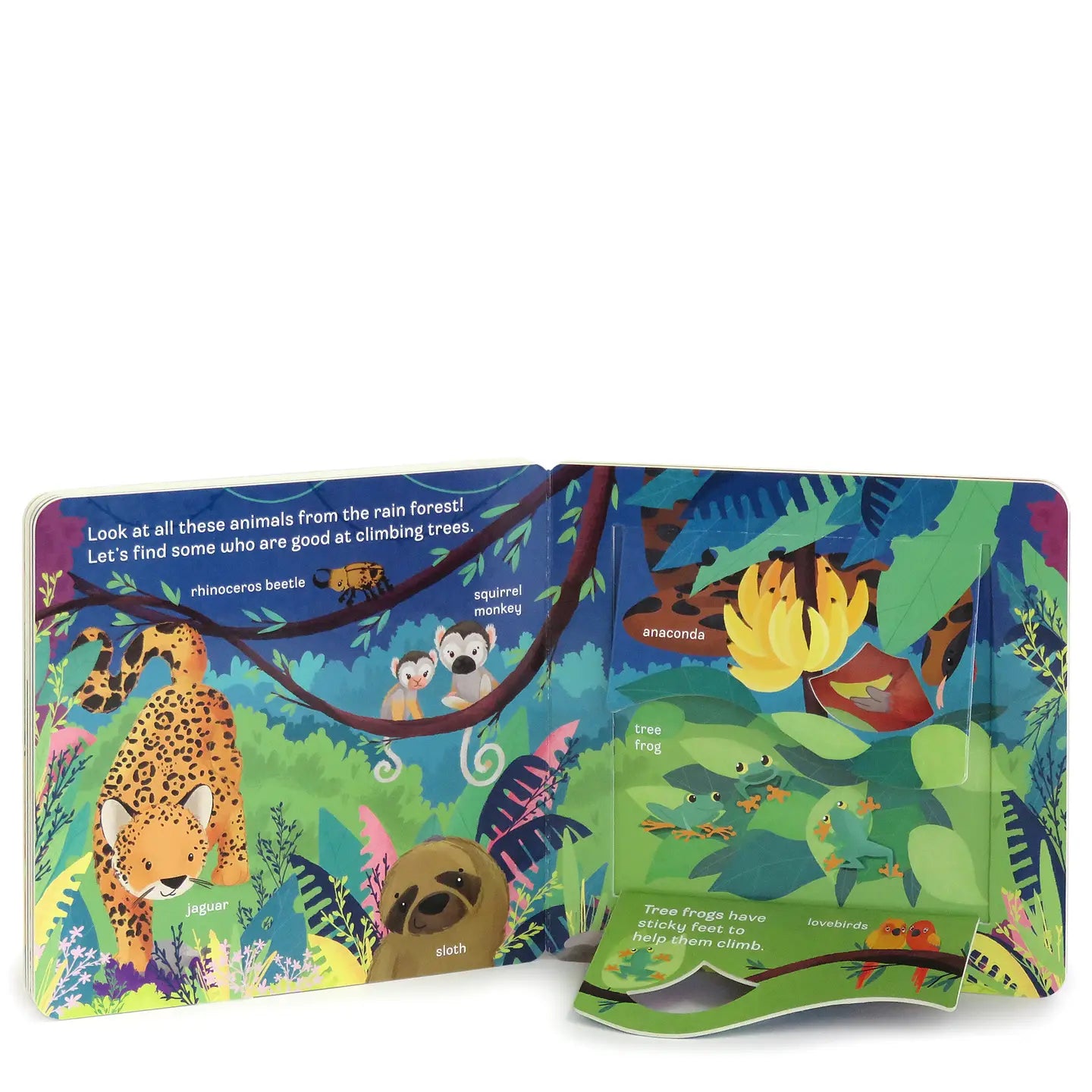 Lift A Flap Book: Zoo