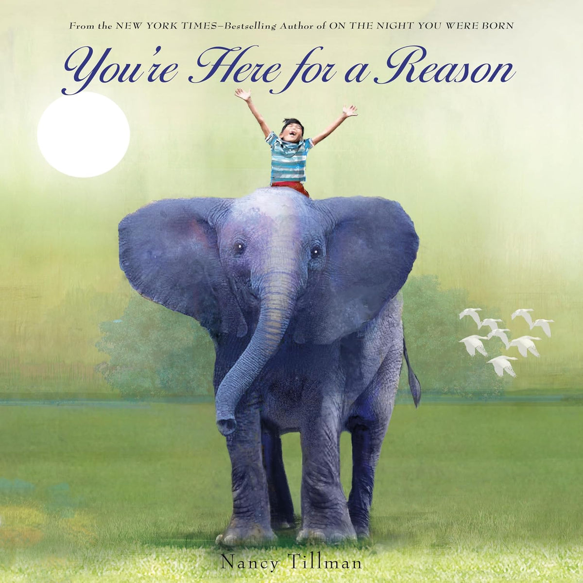 You're Here For A Reason Book