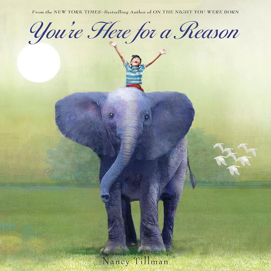You're Here For A Reason Book