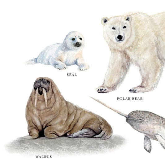 Our Big Book Of Animals
